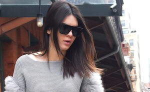 Outfit of the Day: Kendall Jenner in skirt-pants