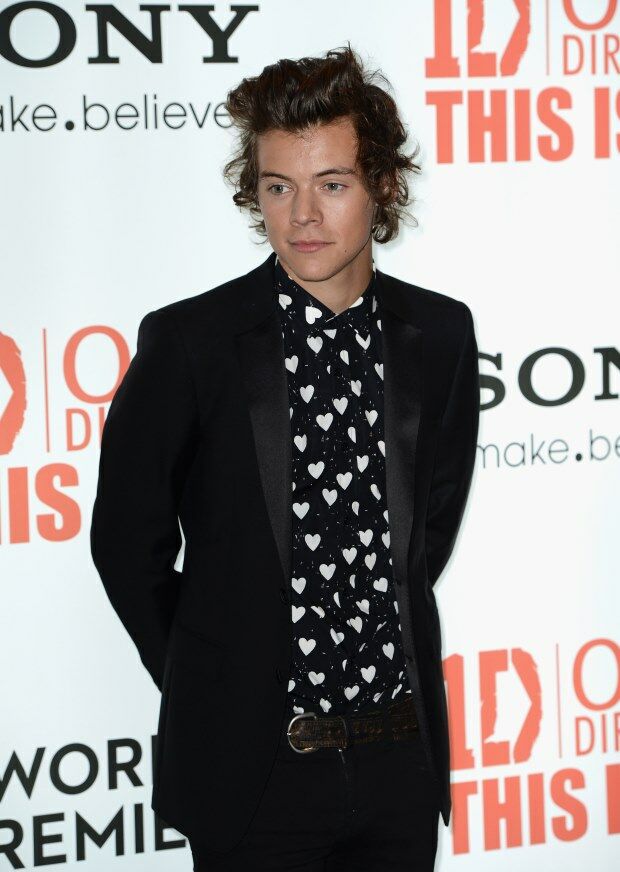 Hip of horror: matchy matchy in Burberry met Harry Styles