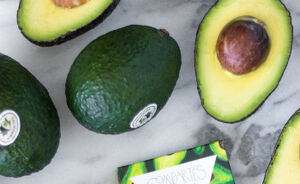 De avocado hype is nog lang niet over: je raadt nooit waar avocado nu in verwerkt is