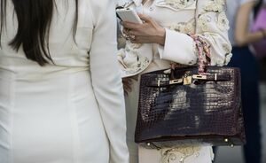 11 feitjes over de Hermès Birkin tas die jij nog niet wist