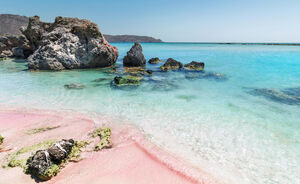 Dit roze strand is te perfect en wij willen er maar al graag heen