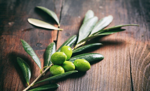 Waarom olijfblad een perfect middel is om je lichaam én huid gezond te houden