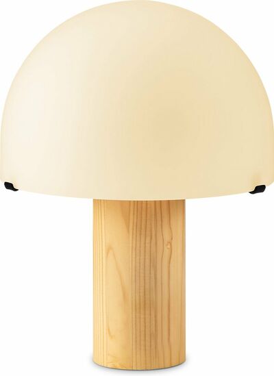 lamp mushroom