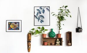 Planten zijn de nieuwe kunst: dit is hoe je ze het beste zo kan gebruiken in jouw interieur