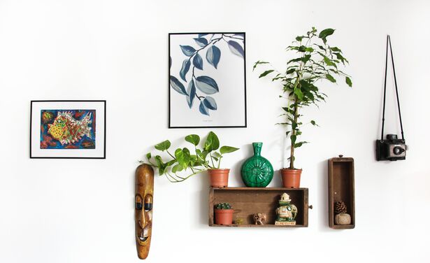 Planten zijn de nieuwe kunst: dit is hoe je ze het beste zo kan gebruiken in jouw interieur
