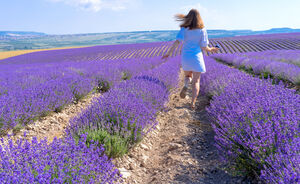 Dit zijn de 5 meest instagrammable plekken in de Provence