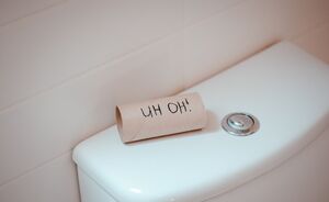 Is een Japans toilet een trend die blijft of waait die weer over?