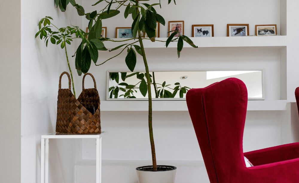 De ‘unexpected red’ theory: dat ene rode item dat je interieur gelijk spannender maakt