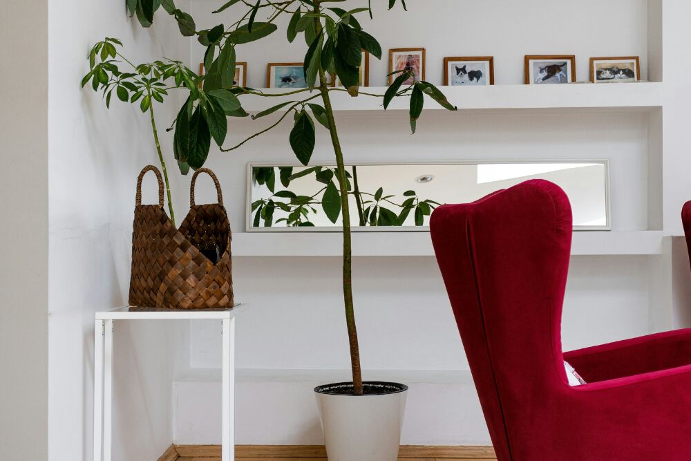 De ‘unexpected red’ theory: dat ene rode item dat je interieur gelijk spannender maakt