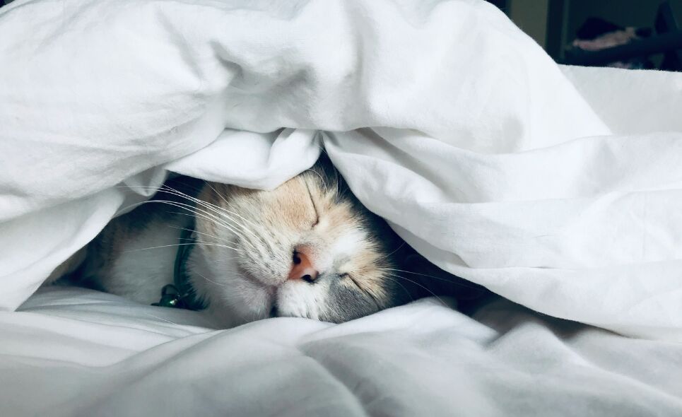 Waarom slaap bovenaan je to-do list hoort