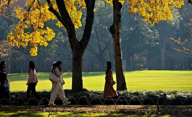 Cortisol walks vs. normale wandelingen: wat is het verschil?