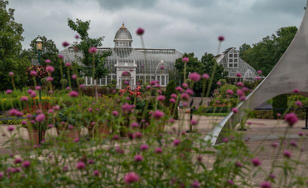 Groene vingers? Mooiste botanische tuinen van Europa