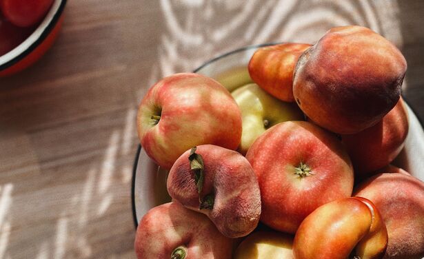 Last van fruitvliegjes? Dit zijn tips die echt werken