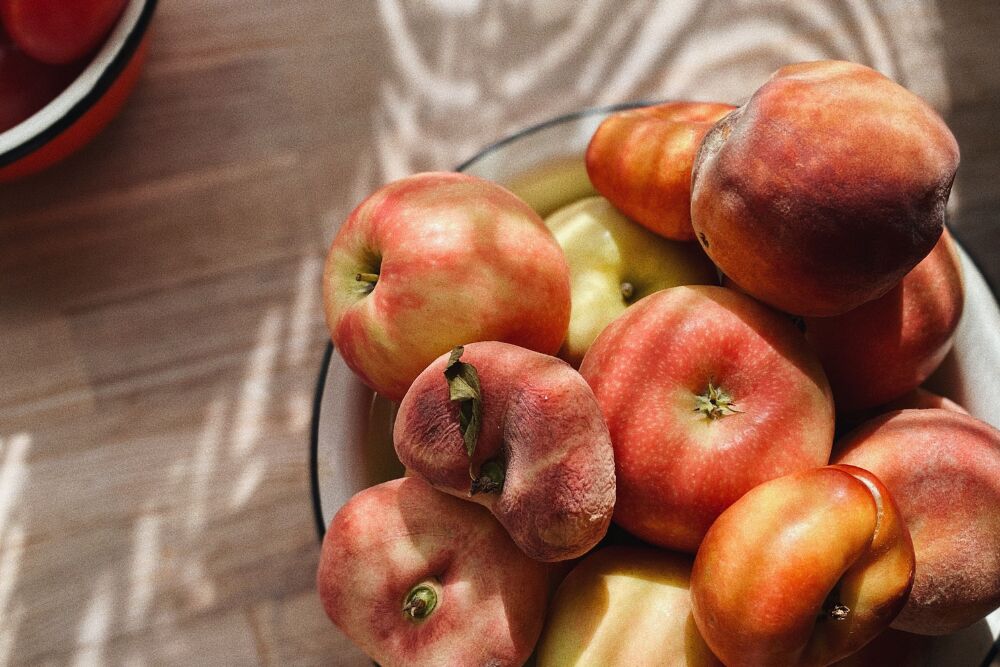 Last van fruitvliegjes? Dit zijn tips die echt werken